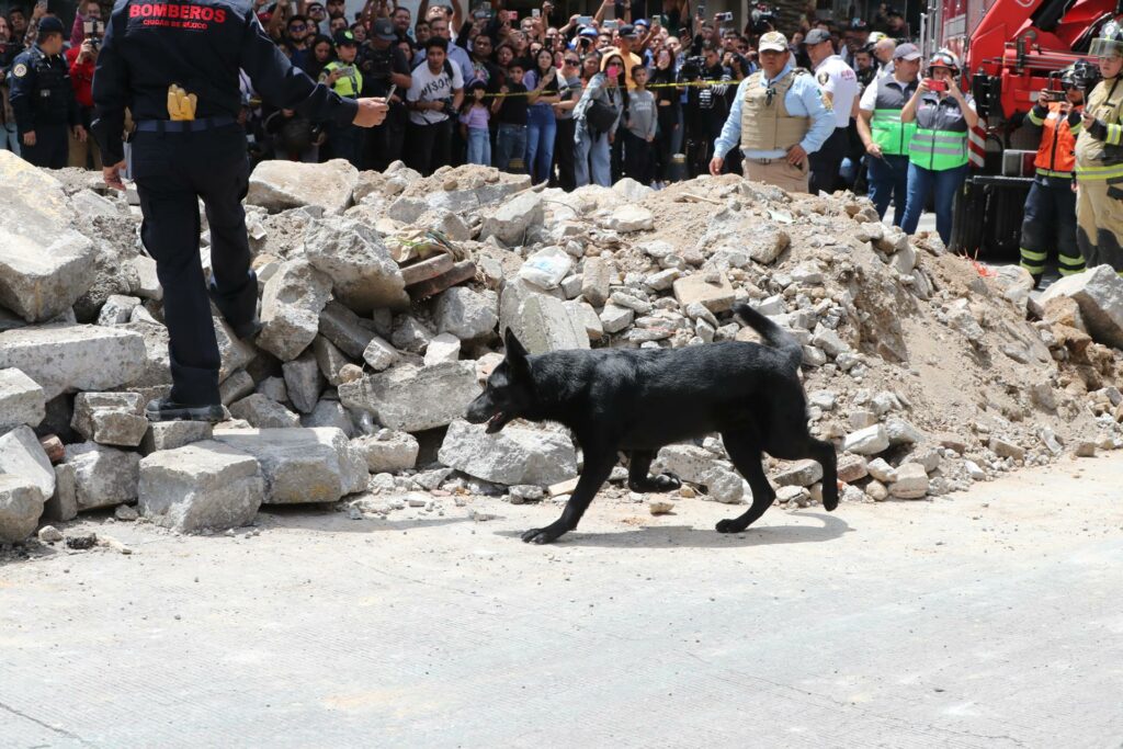 31a83b21e2dcb1f13991f8a9a181247cd86f2400w-1024x683-1 México realiza simulacro 40 años después de trágico terremoto con alertas en los celulares - 31a83b21e2dcb1f13991f8a9a181247cd86f2400w-1024x683