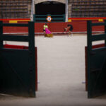 Suspenden corrida de toros en Morelia