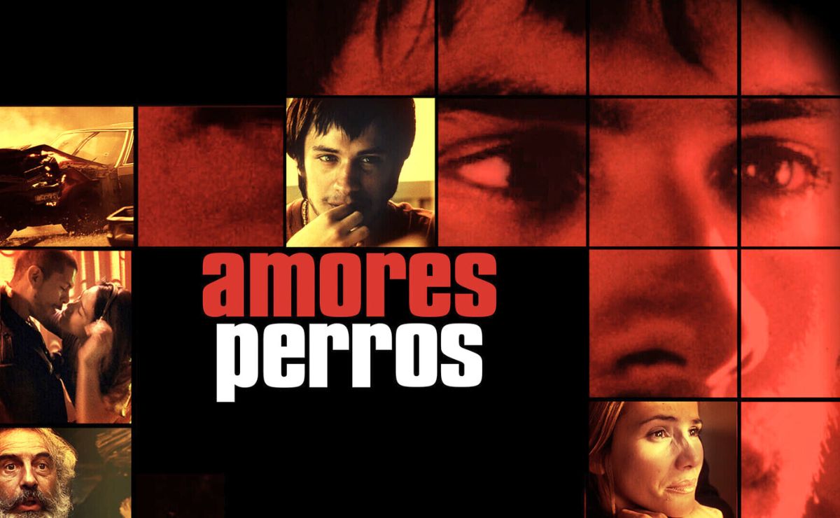 Amores Perros se reestrenará en cines; habrá exhibición sensorial en CDMX