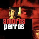 Amores Perros se reestrenará en cines; habrá exhibición sensorial en CDMX