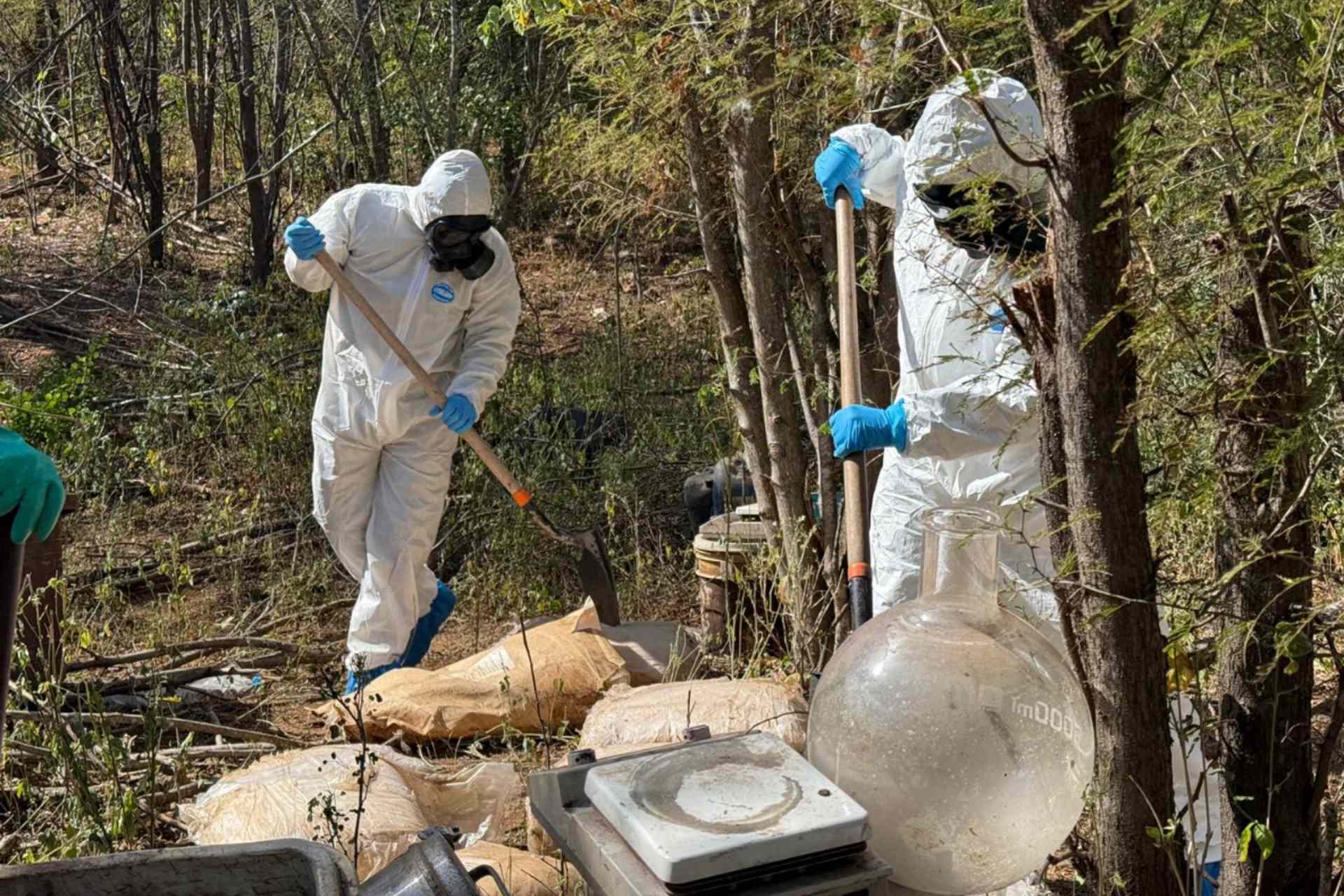 Aseguran más de 140 mdp en drogas en Sonora y Sinaloa
