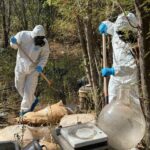 Aseguran más de 140 mdp en drogas en Sonora y Sinaloa