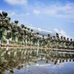 Despliegan a 270 elementos de Fuerzas Especiales del Ejército a Baja California, Chihuahua y Guanajuato Despliegan a 270 elementos de Fuerzas Especiales del Ejército a Baja California, Chihuahua y Guanajuato