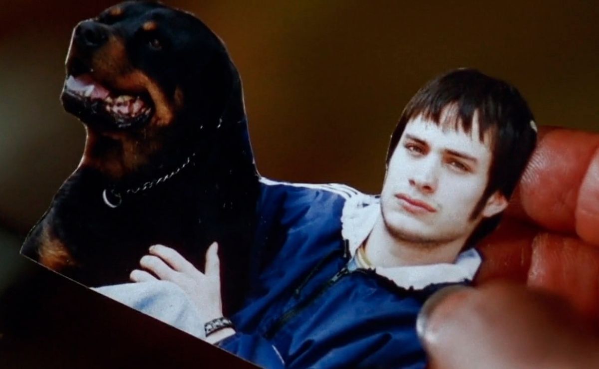 Proyectarán ‘Amores Perros’ en Bellas Artes: ¿cuándo y a qué hora?