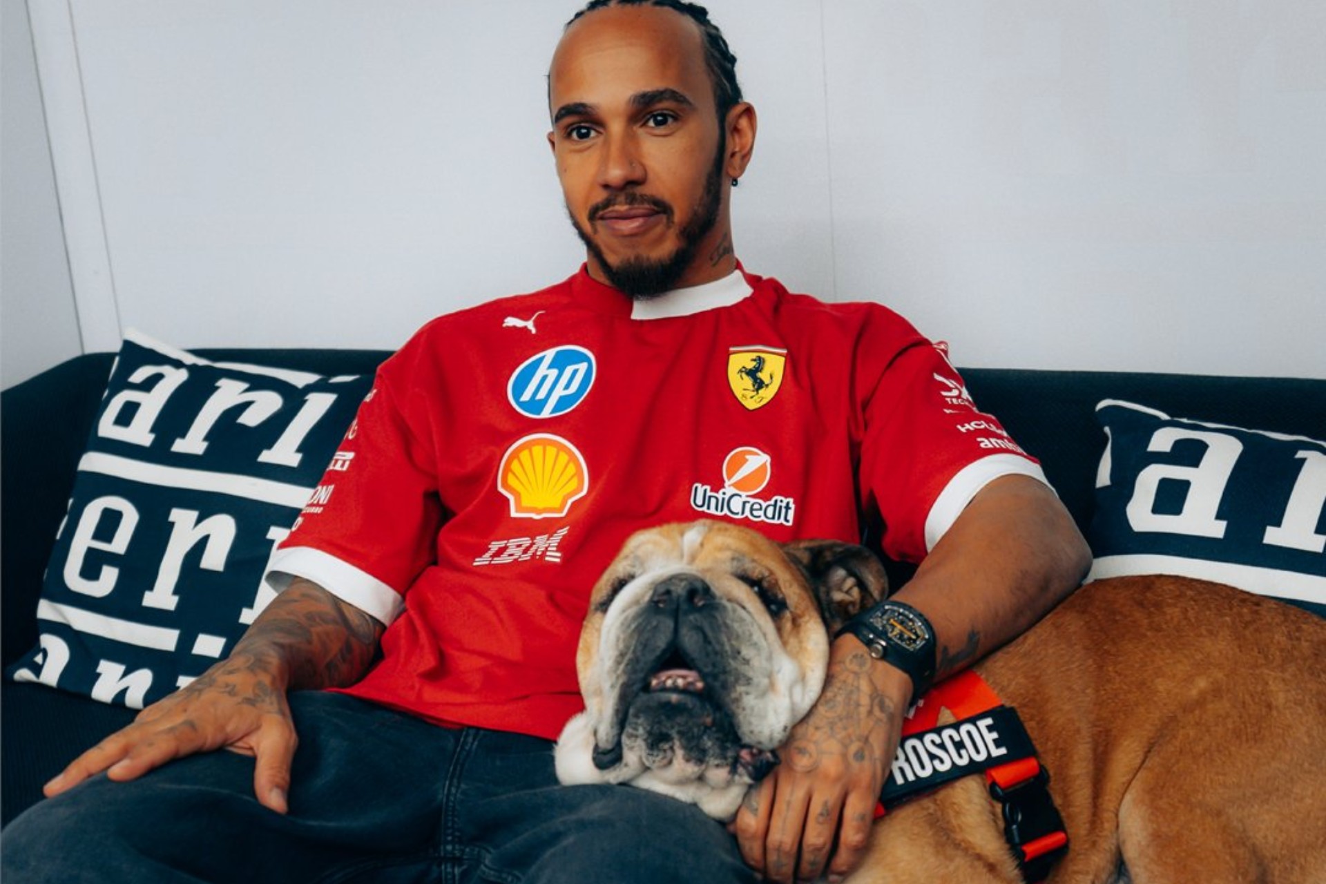 Murió ‘Roscoe’, el perrito de lewis Hamilton que cautivó a la F1
