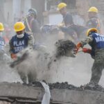 Secretaría de Marina actúa con rapidez y eficiencia ante emergencias por sismos en territorio nacional