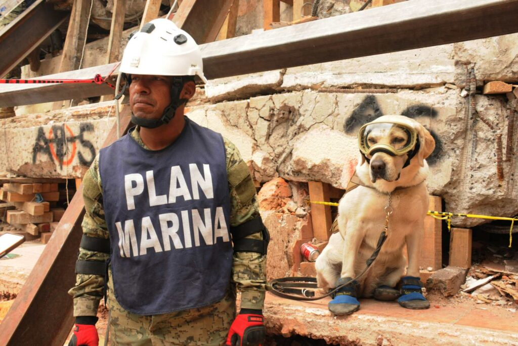 marina-semar-sismo-2017-frida-1024x683-1 Secretaría de Marina actúa con rapidez y eficiencia ante emergencias por sismos en territorio nacional - marina-semar-sismo-2017-frida-1024x683