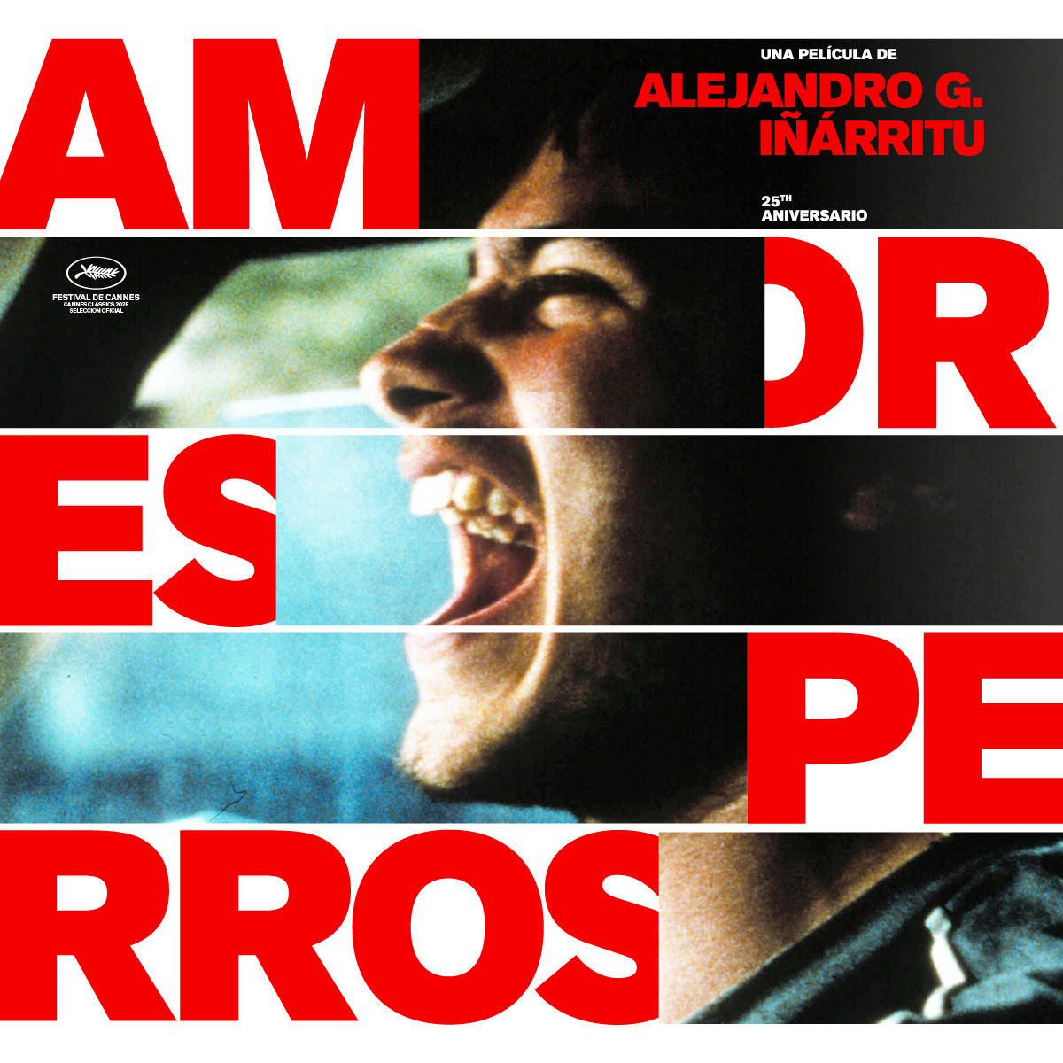 nuevo-poster-de-amores-perros-1 Proyectarán 'Amores Perros' en Bellas Artes: ¿cuándo y a qué hora? - nuevo-poster-de-amores-perros