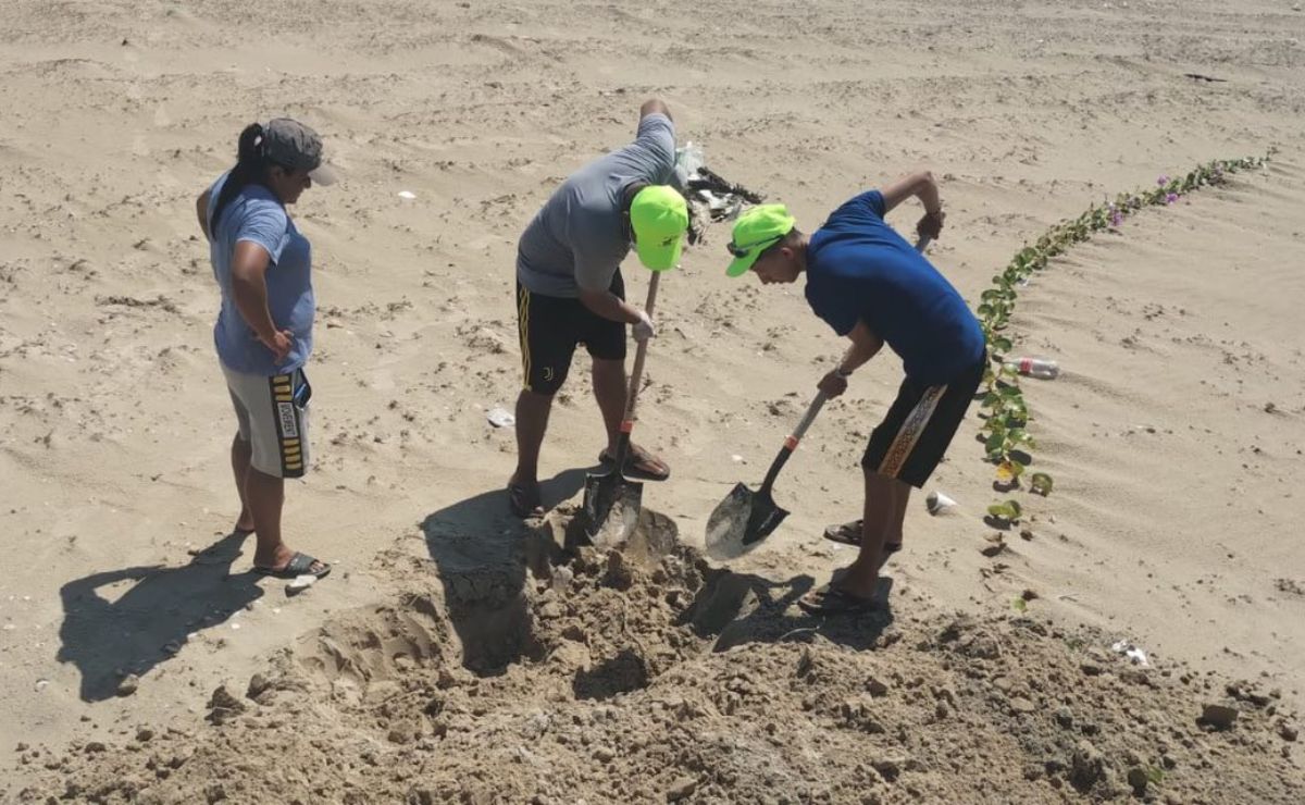 Detectan gripe aviar en playa de Matamoros; sepultan 400 aves - sepultan-aves-muertas-en-playa-bagdad-de-matamoros-tamaulipas