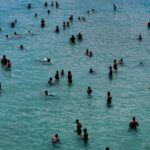 Superficie marina alcanzó en 2024 temperatura global récord de 21º C Superficie marina alcanzó en 2024 temperatura global récord de 21º C