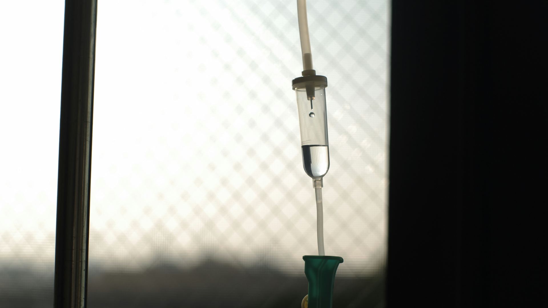 Activistas proponen legalizar la eutanasia con la ‘ley Trasciende’ Activistas proponen legalizar la eutanasia con la ‘ley Trasciende’