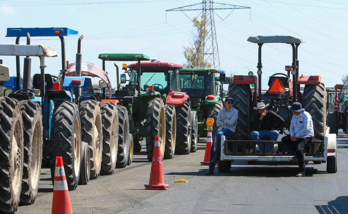 “Nos vamos a quedar”: agricultores mantendrán bloqueos si Gobierno no eleva oferta por tonelada de maíz “Nos vamos a quedar”: agricultores mantendrán bloqueos si Gobierno no eleva oferta por tonelada de maíz