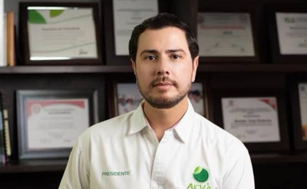 Detienen a segundo implicado en homicidio del líder limonero Bernardo Bravo, confirma García Harfuch Detienen a segundo implicado en homicidio del líder limonero Bernardo Bravo, confirma García Harfuch