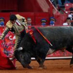 SCJN estudia un amparo de un pueblo contra las corridas de toros ‘sin sangre’ SCJN estudia un amparo de un pueblo contra las corridas de toros ‘sin sangre’
