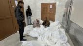 Foto ilustrativa de la nota titulada: Unicef denuncia la muerte de más de 200 niños por ataques de Israel en Líbano