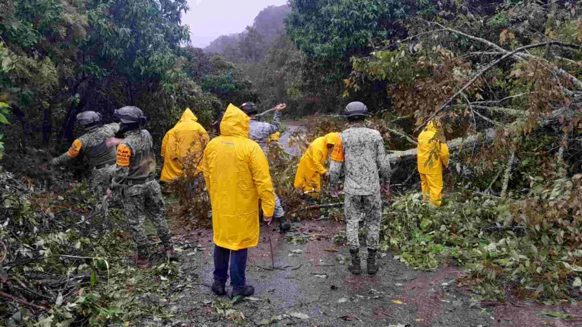Gobierno de México refuerza acciones tras intensas lluvias: 37 muertos y decenas de miles de afectados Gobierno de México refuerza acciones tras intensas lluvias: 37 muertos y decenas de miles de afectados