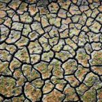 La inacción en el cambio climático deja un “panorama sombrío”: millones de muertes al año La inacción en el cambio climático deja un “panorama sombrío”: millones de muertes al año