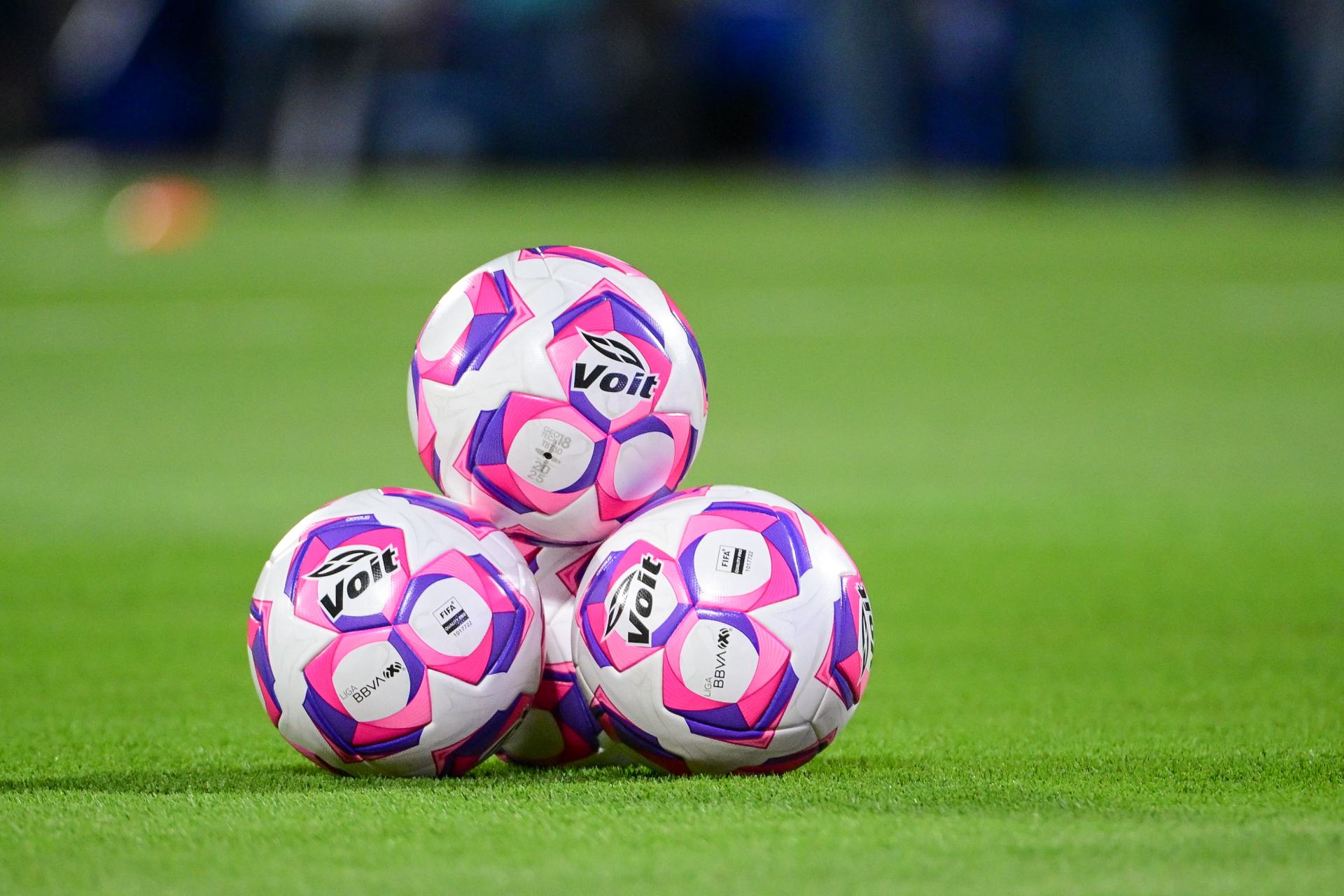 Liga MX: ¿Cuándo y dónde ver los partidos de la jornada 14?