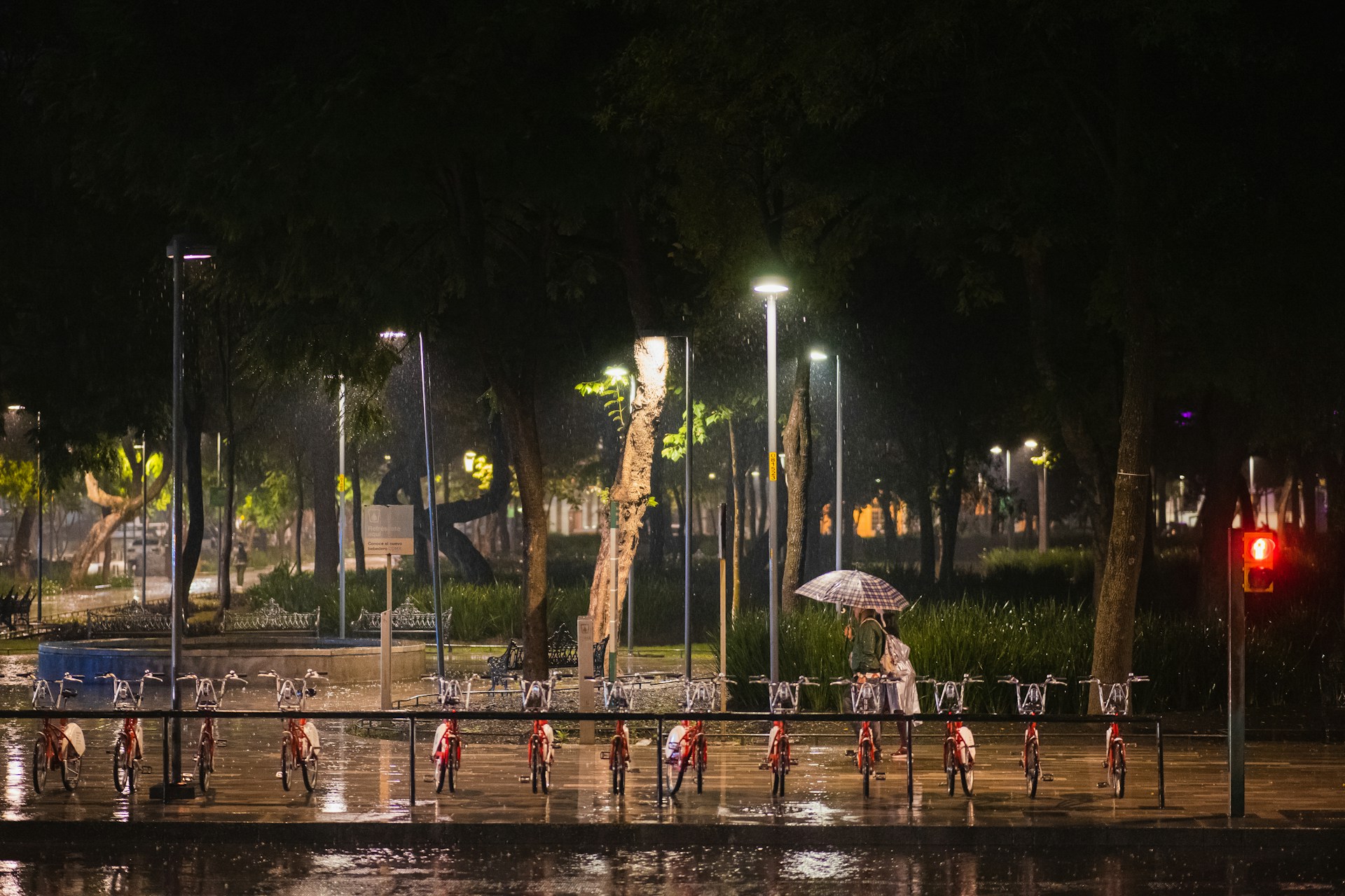 Clima hoy 8 de octubre de 2025 en México: ¿Dónde se esperan lluvias fuertes?