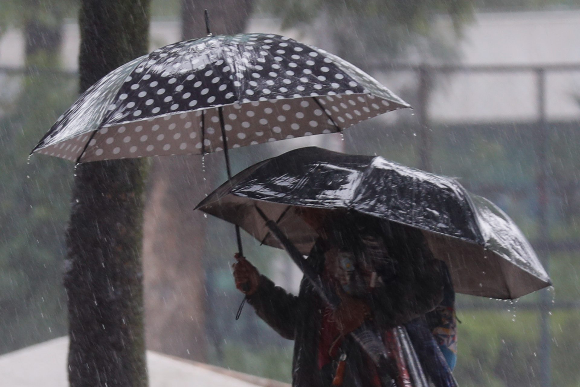 Advierten lluvias y tormentas por el ‘Cordonazo de San Francisco’, ¿qué es?