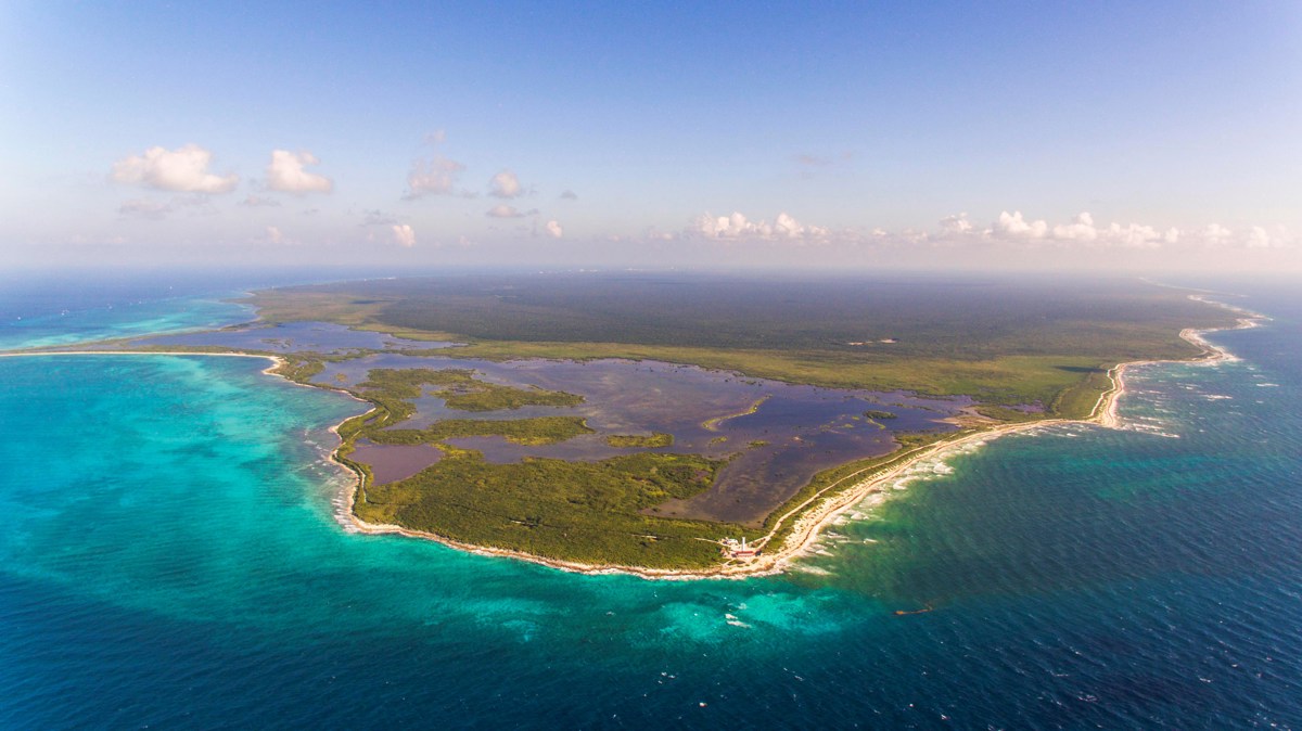 Los arrecifes de coral se extinguirán si no se revierte el calentamiento global, revela informe Los arrecifes de coral se extinguirán si no se revierte el calentamiento global, revela informe