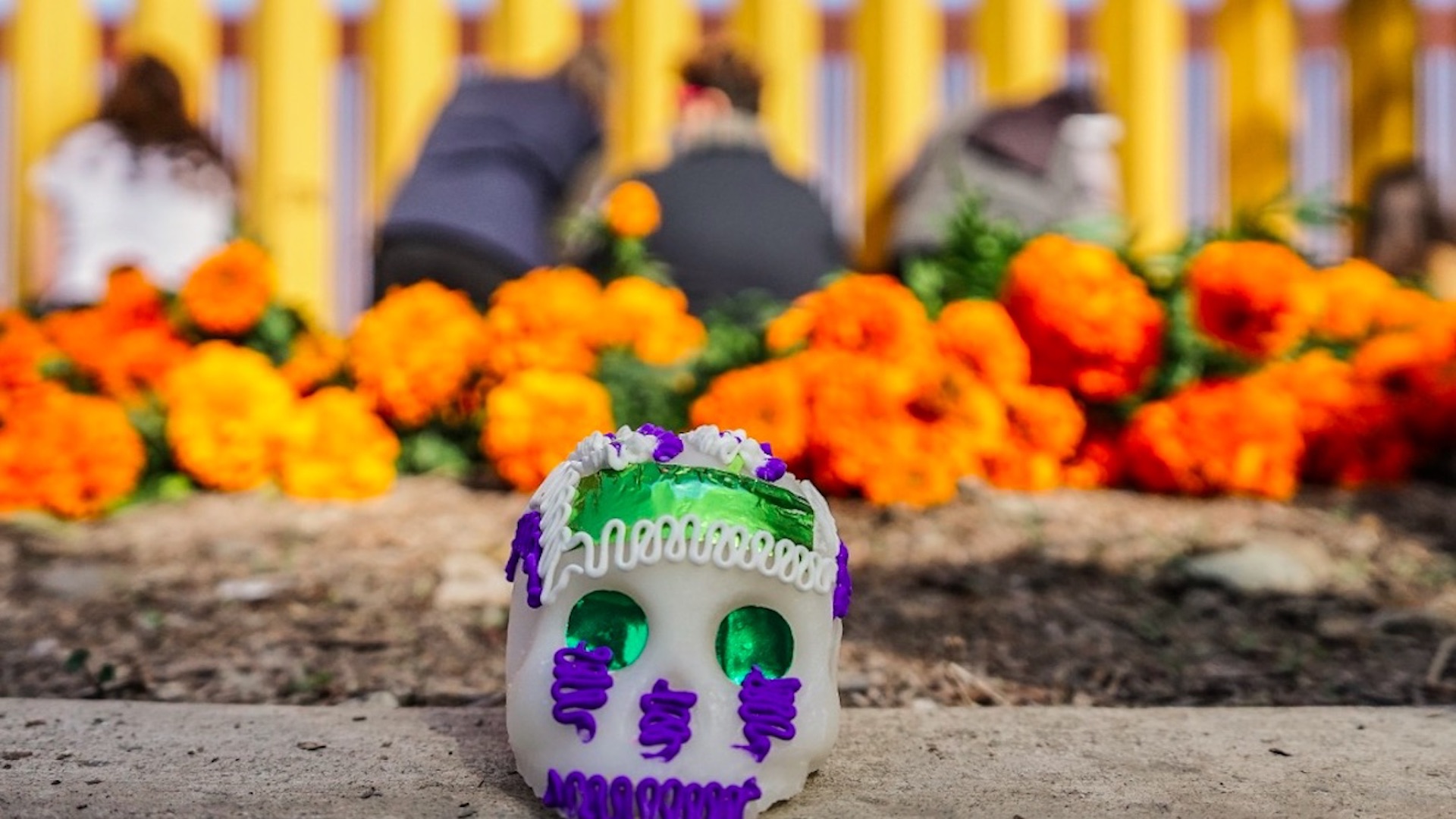 ofrenda-migrantes Día de Muertos: ¿qué significan los niveles del altar y elementos de la ofrenda? - ofrenda-migrantes