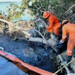 Videos: Así se ve el derrame de hidrocarburo en el río Tuxpan, Veracruz; suman 345 mil litros recuperados