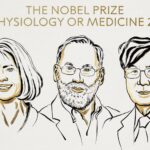 Dan Premio Nobel de Medicina 2025 a tres científicos por su trabajo sobre la tolerancia inmunológica periférica