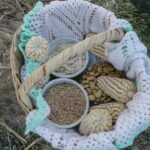 FAO reconoce al metepantle de México como ejemplo de resiliencia agrícola FAO reconoce al metepantle de México como ejemplo de resiliencia agrícola