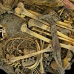 Microbioma intestinal de joven del México precolombino desvela cambios evolutivos