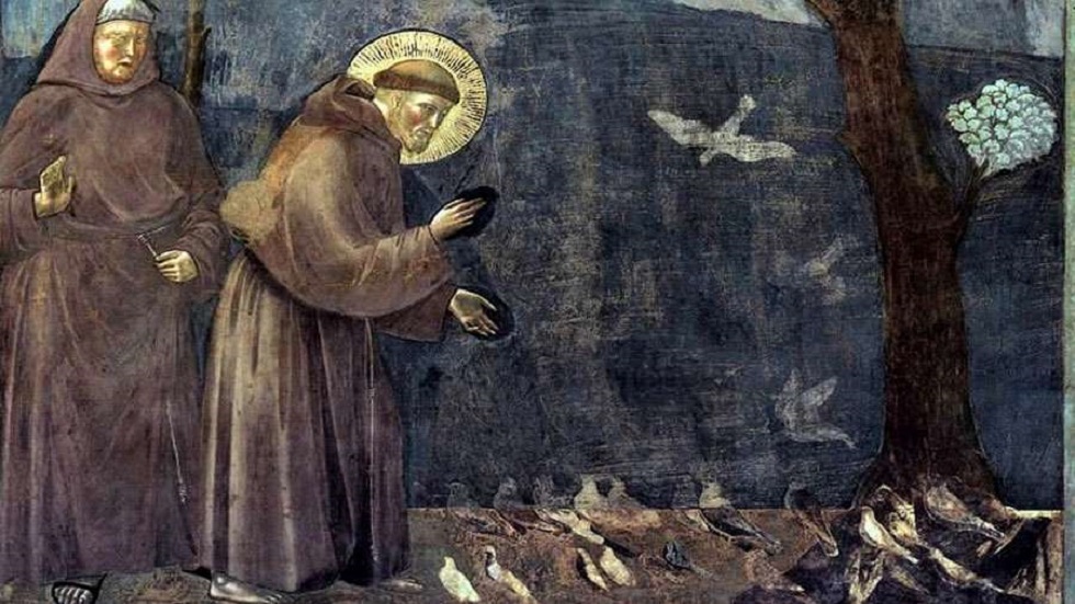 Advierten lluvias y tormentas por el 'Cordonazo de San Francisco', ¿qué es? - sermon-de-san-francisco-de-asis-a-las-aves