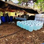 Aseguran drogas y sustancias químicas en Sinaloa con valor de 756 mdp