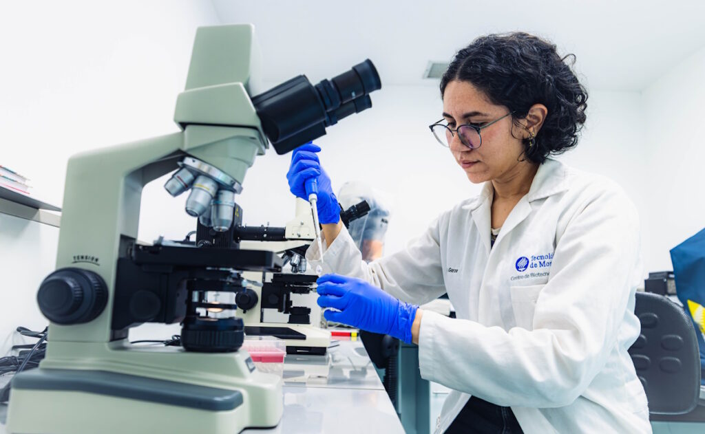 tec-de-monterrey-es-la-mejor-universidad-de-mexico-segun-el-qs-latam-2026-2-1024x631-1 Tec de Monterrey es la mejor universidad de México según el QS LATAM 2026 - tec-de-monterrey-es-la-mejor-universidad-de-mexico-segun-el-qs-latam-2026-2-1024x631