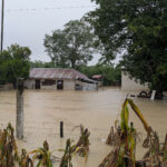 Gobierno estima en 100 mil las viviendas afectadas por lluvias en cinco entidades